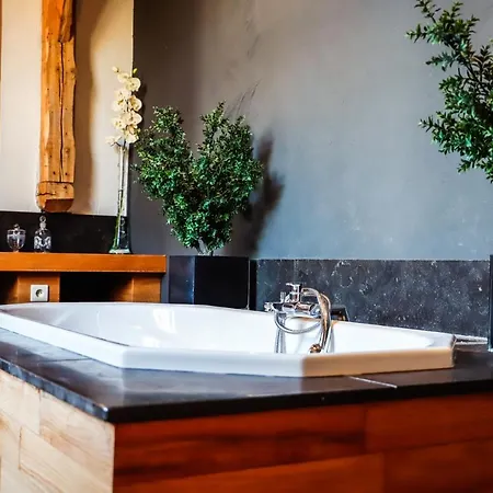 Le Manoir ヴィラ Hastière-par-delà